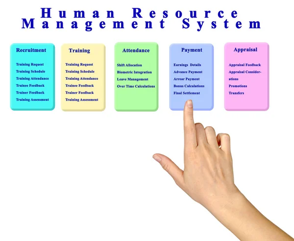 Human Resource Management System — Stock Photo, Image